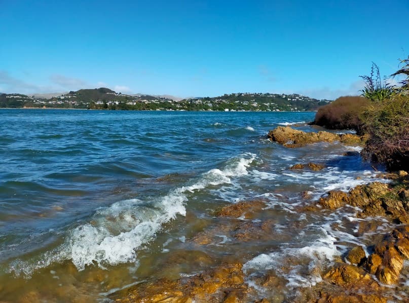 Improve Your Business Performance