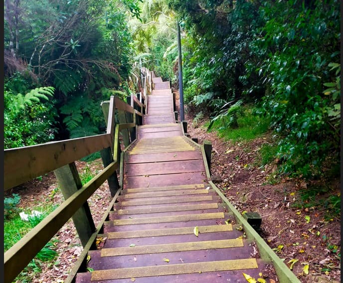 Career Pathways for Teenagers