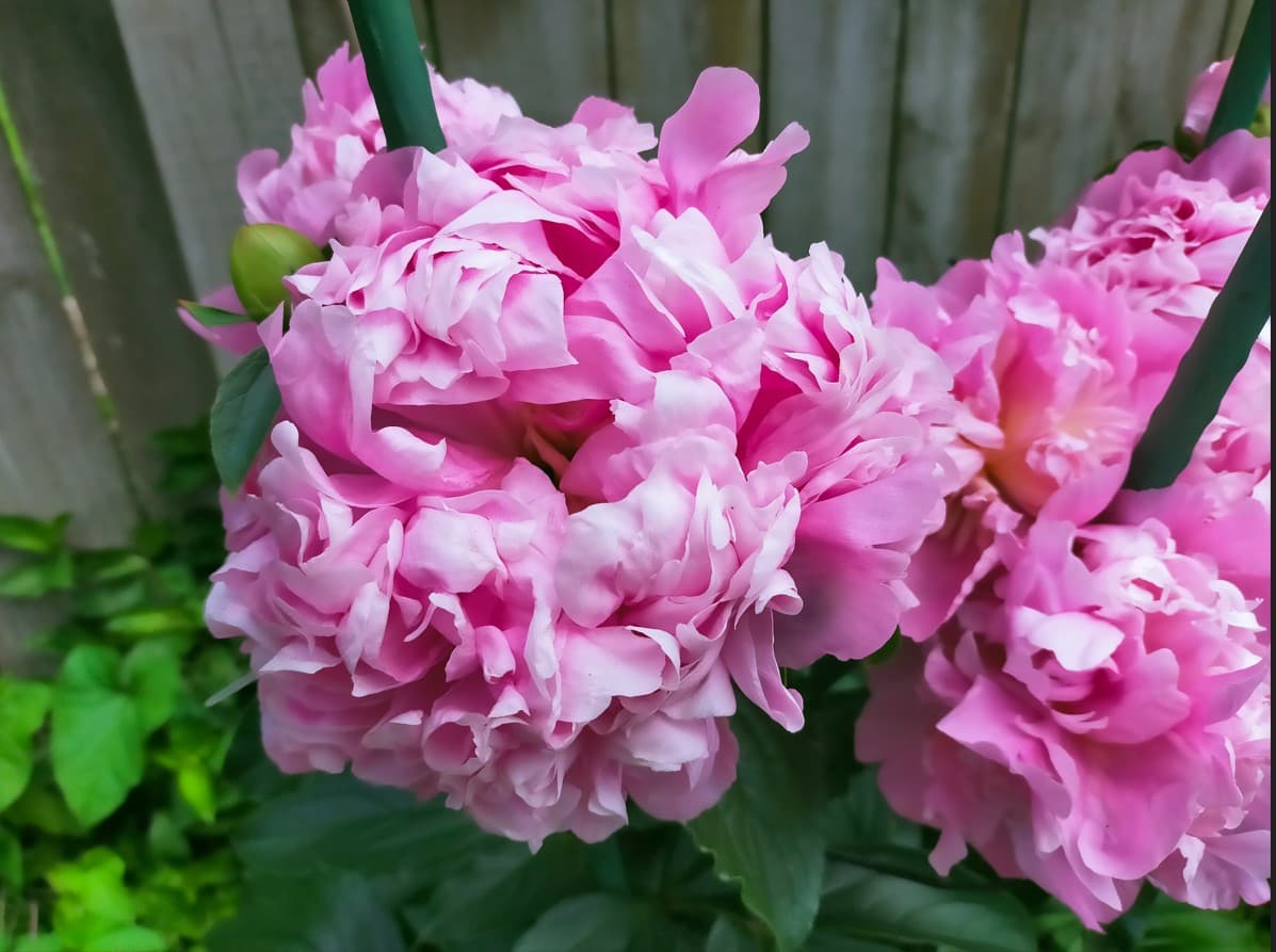 Protect Your Family from Violence