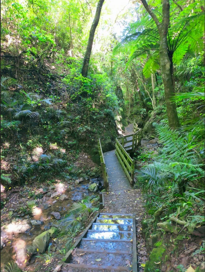 Smart Business Start Up